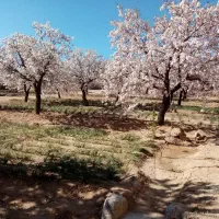 خونه-باغ-با-امکانات-کامل-واقع-در-نیر-زیبای-من