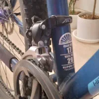 دوچرخه اورلورد ۲۹|دوچرخه، اسکیت، اسکوتر|تربت‌حیدریه, بالا ولایت|دیوار