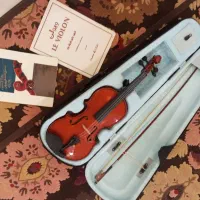 ویلون رناتو|ویولن|پاکدشت, خاتون آباد|دیوار