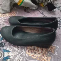 کفش و کتانی کیف نو ودرحدنو|کیف، کفش، کمربند|اندیشه, اندیشه فاز ۱|دیوار