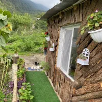 کلبه فلت جنگلی دیزین - پرداخت قسطی