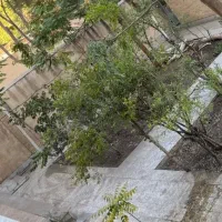 اجاره واحد مسکونی بلوار کشاورز