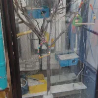 قفس  گنجه مناسب پرنده