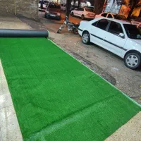 موکت پالاز، معمولی،چمن،پادری