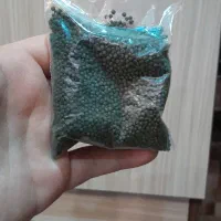 انواع غذا و دارو|ماهی|اردبیل, |دیوار