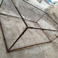 کفتر‌‌