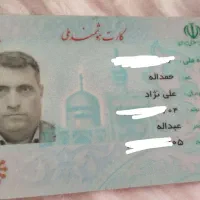کارت ملی به اسم حمدالله علی نژادپیداشده
