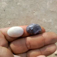 دوتا لامه داوودی کهنه|جواهرات|چهاردانگه (تهران), |دیوار