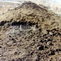 کود|خدمات باغبانی و درختکاری|قصابه, |دیوار