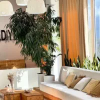 50 متر واحد تجاری