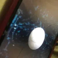 Sang frosh fori|کلکسیون اشیاء عتیقه|قوچان, |دیوار