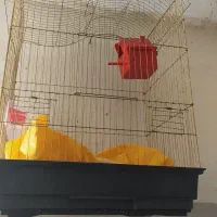 قفس نو|لوازم جانبی حیوانات|قم, شاه سید علی|دیوار