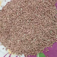 بادام همراه با لپه