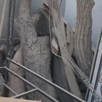 چوب بادام خوش رنگ