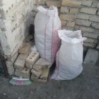 چندتا رنگه ماده|پرنده|تربت‌حیدریه, اندیشه|دیوار