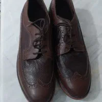 کفش چرم در حد نو زیر قیمت به علت داشتن چک