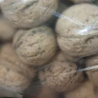 فروش گردو