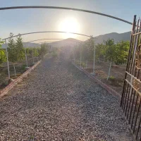 باغ|فروش دفتر صنعتی، کشاورزی، تجاری|دورود, |دیوار