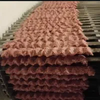 اشپز|خدمات پذیرایی، مراسم|فومن, |دیوار