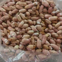 بادام زمینی (کف قیمت)