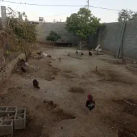 زمین|فروش زمین و ملک کلنگی|شیراز, بید زرد|دیوار