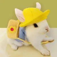 باگز بانی لوپ باهوش مینیاتوری خرگوش