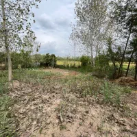 ۳۰۰مترمسکونی/۵۰۰۰مترشالیزار/کنتور برق/ویو ابدی