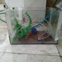 آکواریم همراه وسایل فول و همراه غذا