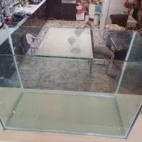 سلام آکواریوم فروشی نو