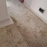 دو عدد گلیم فرش سه متری