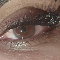 کاشت مژه لیفت مژه ابرو،مدل اکستنشن اصلاح صورت ابرو|خدمات آرایشگری و زیبایی|پرند, فاز ۲|دیوار