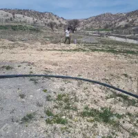 مرغداری ۱۰هزار قطعه ای واقعدرجاده ملکشاهی