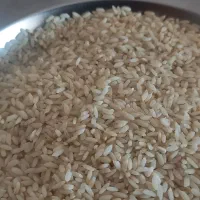 برنج شمشیری اصل چرداول|خوردنی و آشامیدنی|چرداول, |دیوار