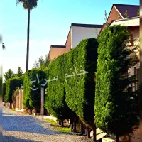 مجاز-به-ارتفاع-ساخت-20متری-بافته-شهرکی-امنیت-بالا