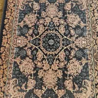 فروش تعداد زیادی پادری ب قیمت عمده در بندرعباس|پادری|بندرعباس, |دیوار