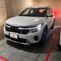 کیا سلتوس