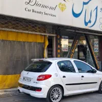 شاگرد نقاش کارگر ساده نقاشی دیتیلینگ و صفرشویی