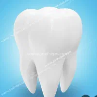 نیرو جهت کار در لابراتوار دندانسازی