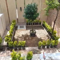 خدمات باغبانی کاشت گل و گیاه خاک گلدون گل باغچه