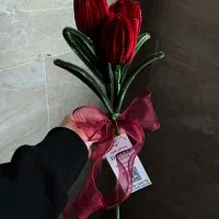 گل های جاودان|صنایع دستی و سایر لوازم تزئینی|مریوان, |دیوار