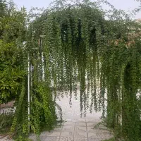 معاوضه-3000-متر-خانه-باغ-دوکوهک-با-چاه-اختصاصی