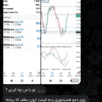 آموزش رایگان استراتژی فارکس 0تا100 سه ماه  تضمینی|فعالیت داوطلبانه|تهران, جوادیه تهرانپارس|دیوار