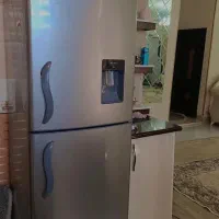 یخچال الکترو استیل