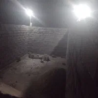 بنا ساختمان
