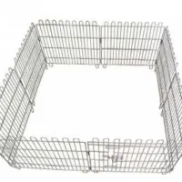 گربه پرشین|گربه|ارومیه, |دیوار