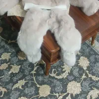 لباس گرم زمستونی برای یک سال تا دوسال