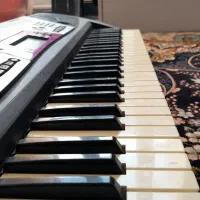 ارگ|پیانو، کیبورد، آکاردئون|قیدار, |دیوار