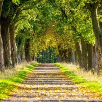 باغ-رستوران-6000-متر-مربع-موقعیت-عالی