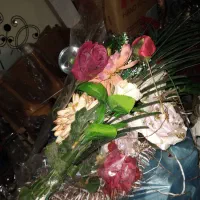 گل رز مصنوعی ۵۰شاخه ودکوری ها زیرقیمت|گل مصنوعی|تهران, آذری|دیوار