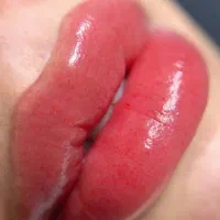 مدل شیدینگ لب و میکرو بلیدینگ نچرال بروز|خدمات آرایشگری و زیبایی|چالوس, |دیوار